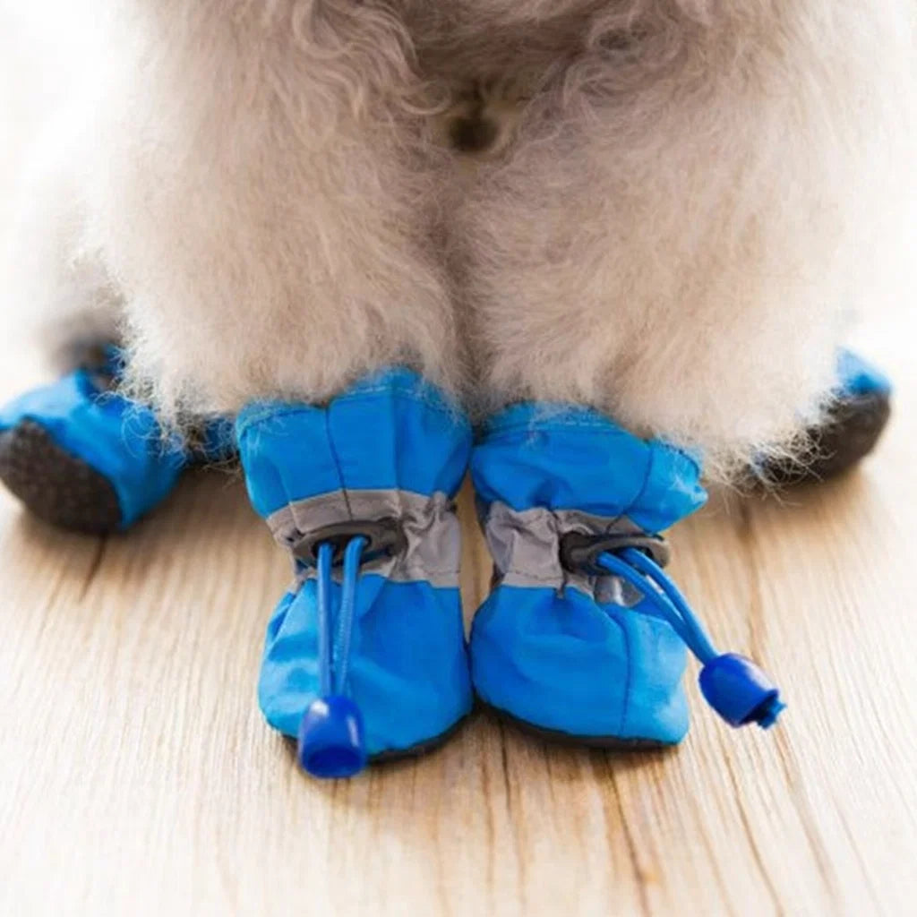 PawStep - Winter shoes for dogs