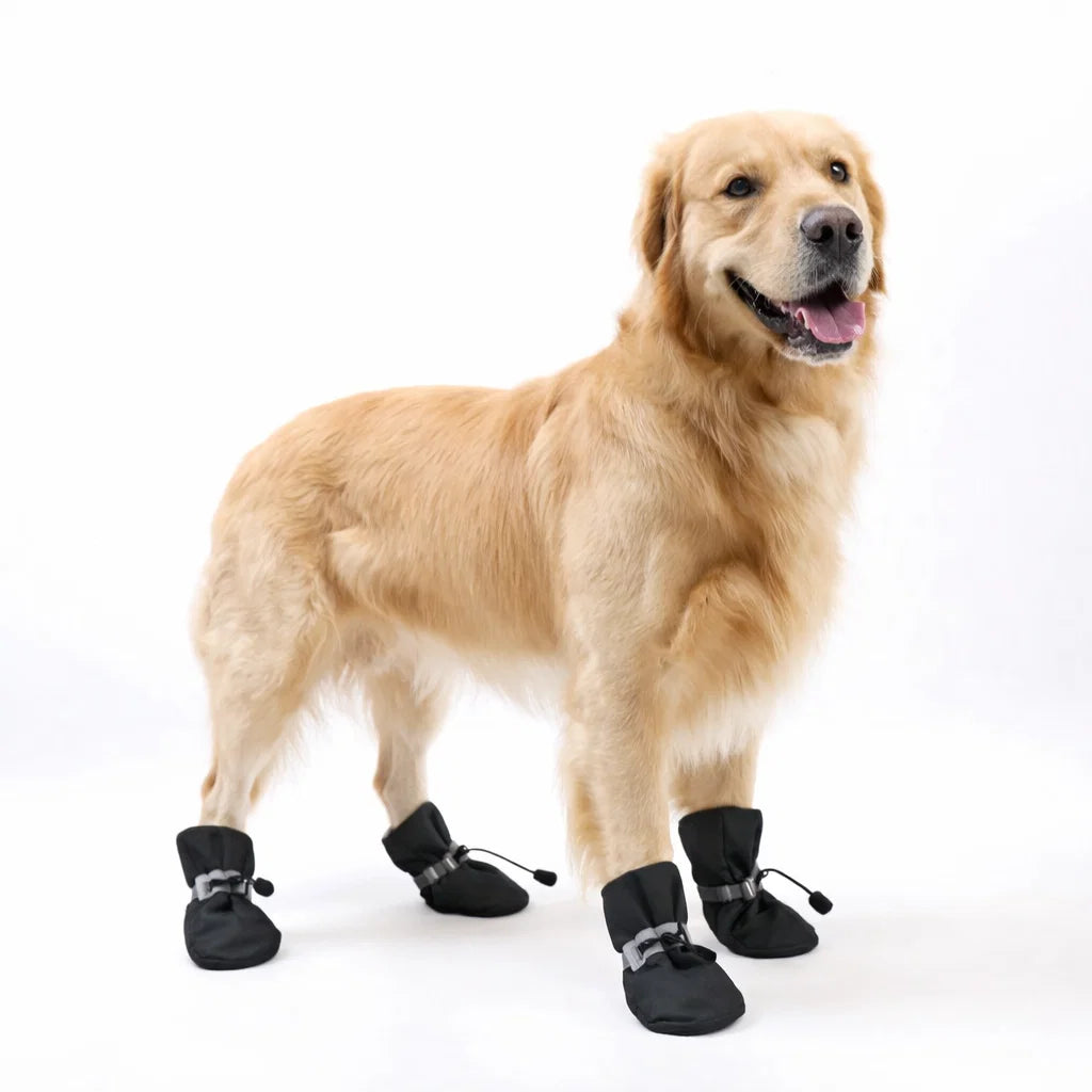 PawStep - Winter shoes for dogs